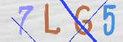 この文字を入力してください