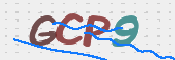 この文字を入力してください