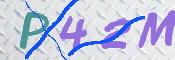 この文字を入力してください