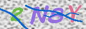 この文字を入力してください