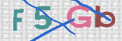 この文字を入力してください