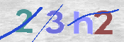 この文字を入力してください