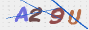この文字を入力してください