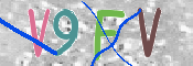 この文字を入力してください