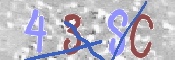 この文字を入力してください