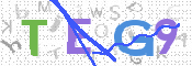 この文字を入力してください