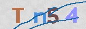 この文字を入力してください
