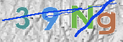 この文字を入力してください