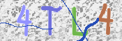 この文字を入力してください