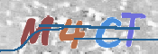 この文字を入力してください