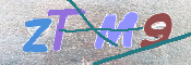 この文字を入力してください