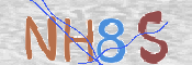 この文字を入力してください