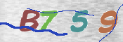 この文字を入力してください