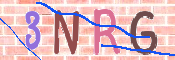 この文字を入力してください