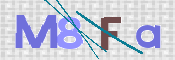 この文字を入力してください