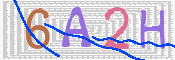 この文字を入力してください