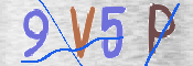 この文字を入力してください