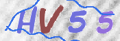 この文字を入力してください