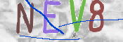 この文字を入力してください