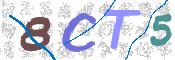 この文字を入力してください