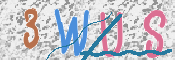 この文字を入力してください