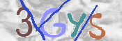 この文字を入力してください