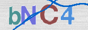 この文字を入力してください