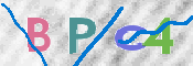 この文字を入力してください
