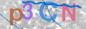 この文字を入力してください