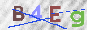 この文字を入力してください