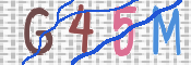 この文字を入力してください