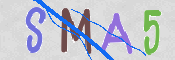 この文字を入力してください