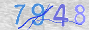 この文字を入力してください