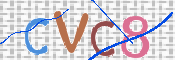 この文字を入力してください