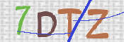 この文字を入力してください