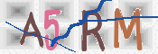 この文字を入力してください