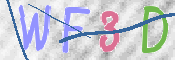 この文字を入力してください