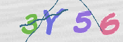 この文字を入力してください