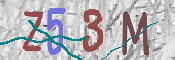 この文字を入力してください