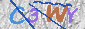この文字を入力してください