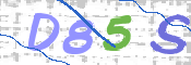 この文字を入力してください