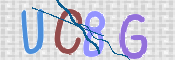 この文字を入力してください