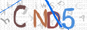 この文字を入力してください