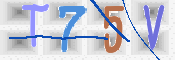 この文字を入力してください