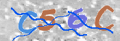 この文字を入力してください