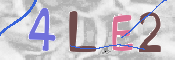 この文字を入力してください