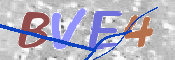 この文字を入力してください