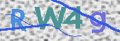 この文字を入力してください