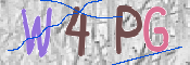 この文字を入力してください