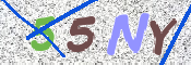 この文字を入力してください